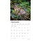Hummingbirds | 2027 12 x 24 Inch (Hanging) Monthly Square Wall Calendar | Foil Stamped Cover | Plastic-Free